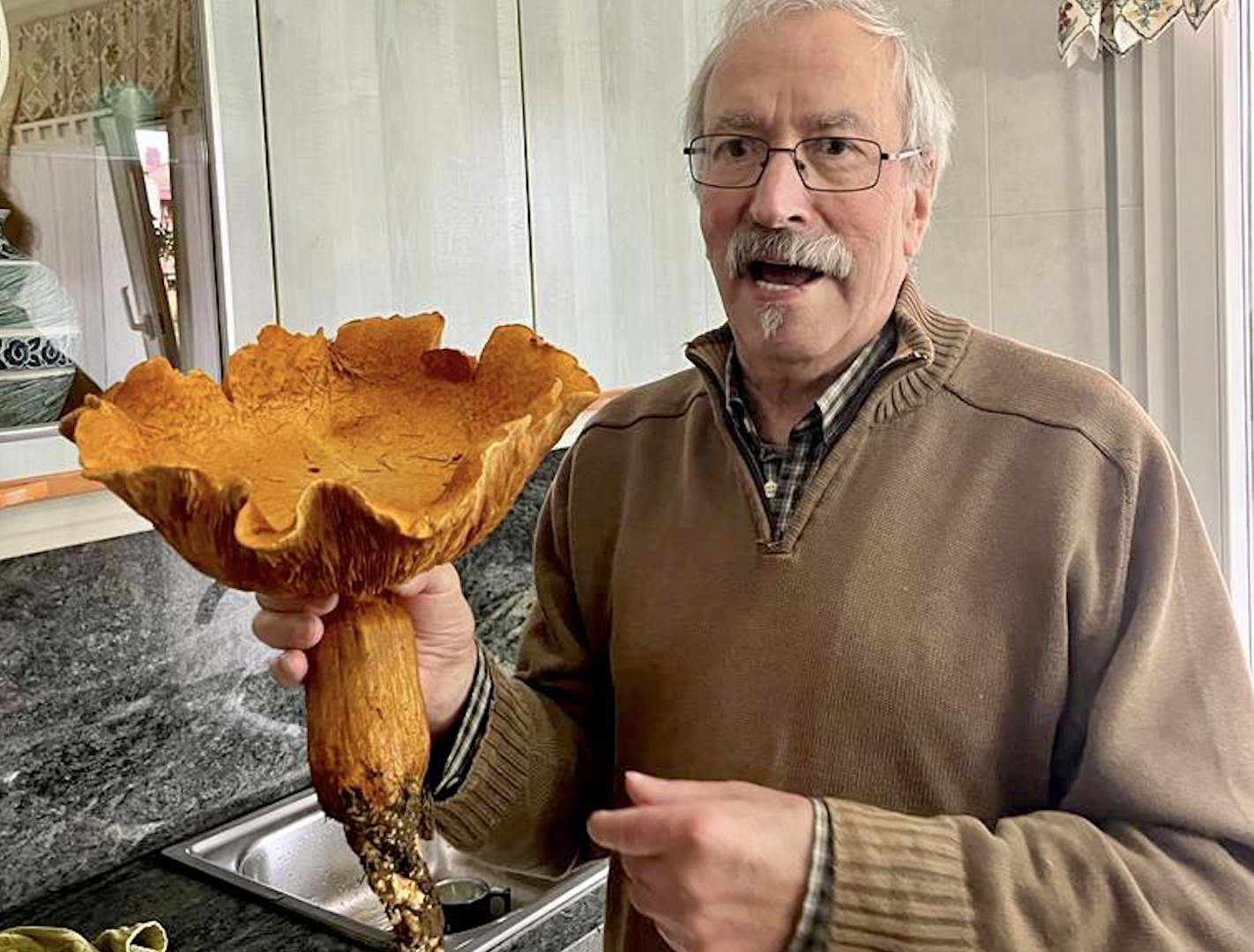 Perretxiko erraldoia