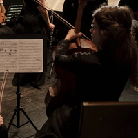 Kontzertu sinfonikoa