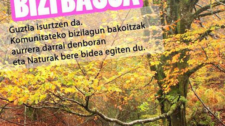 Koldo Carrilloren argazkiak ikusgai Inkernu tabernan