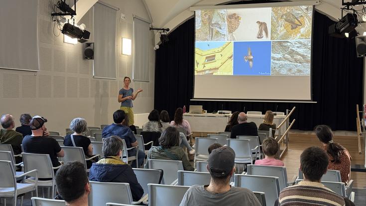 Arrasaten enara eta sorbeltzen habiak identifikatzeko herri-proiektua abiatu dute