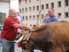 Ganadua eta askotariko produktuak Ferixa Nagusiko azokan