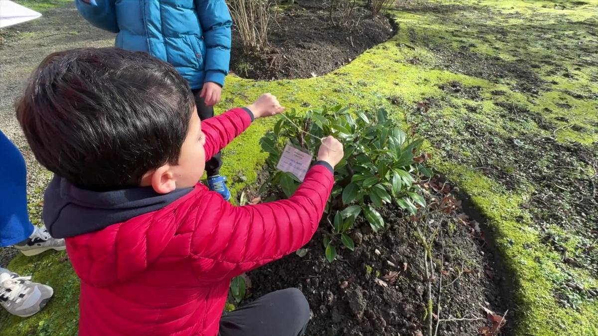Herriguneko zuhaitzak identifikatuz ospatu dute Oñatiko Zuhaitz Eguna