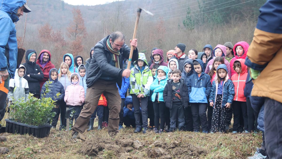 Zuhaitz berriak landatu dituzte Etxezarretan, Zuhaitz Egunaren baitan