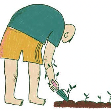 Gure baratzan burujabe