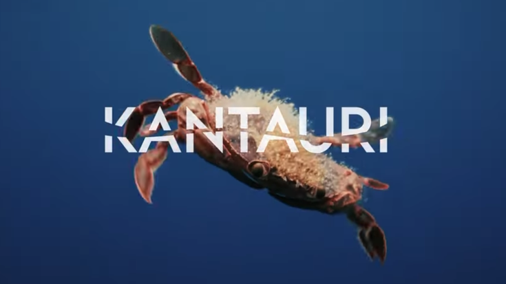 Bueltan dira Monterrongo parkeko zine-emanaldiak