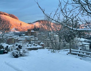 Zuritutako bazterrak, argazkiak ateratzeko aitzakia