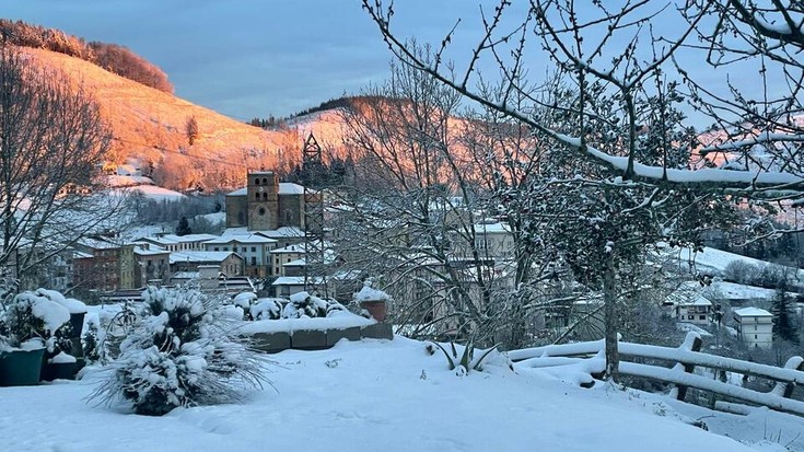 Zuritutako bazterrak, argazkiak ateratzeko aitzakia