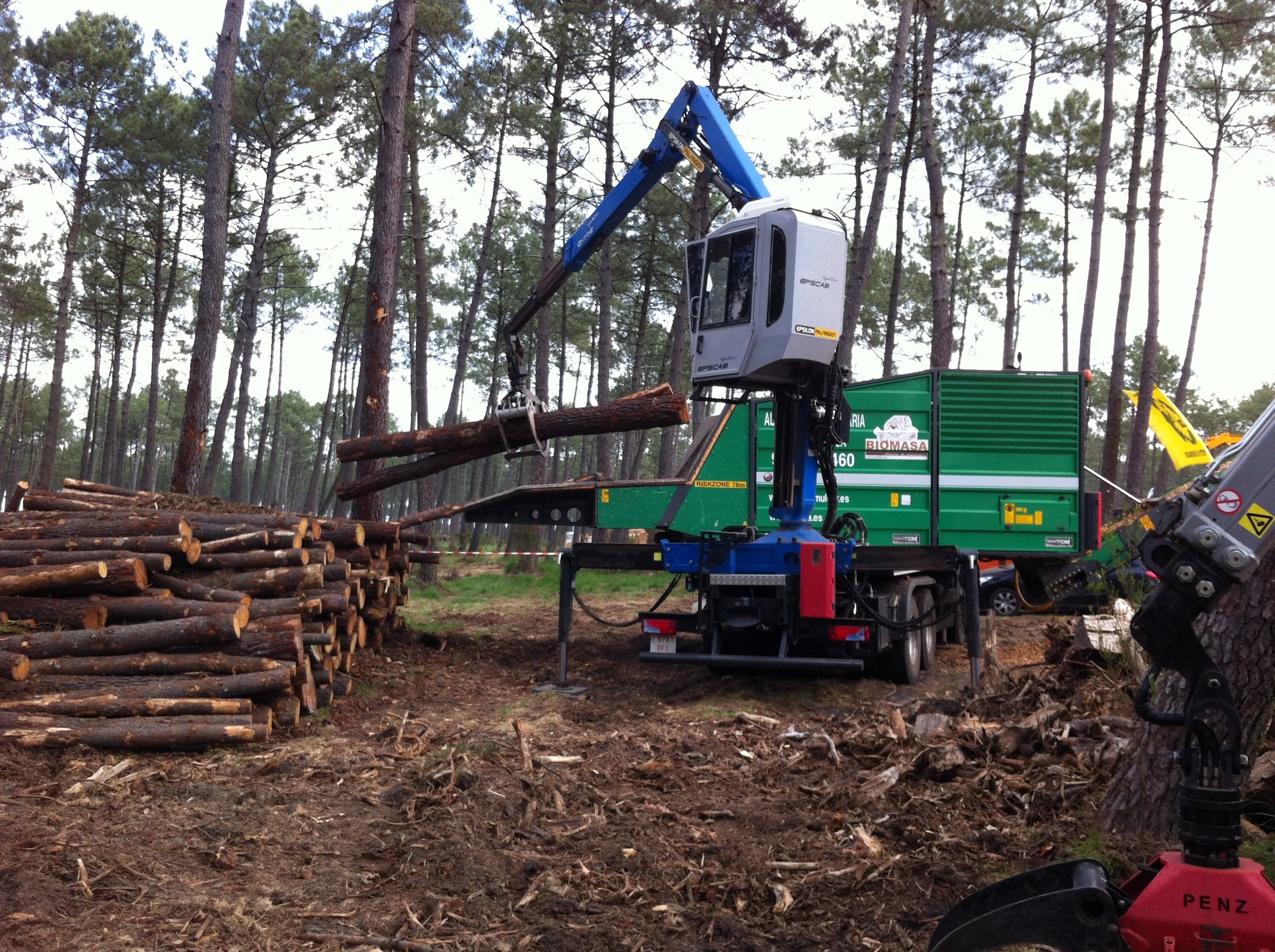 Biomasaren proiektua bideragarria da Aramaion