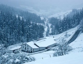 Antzuolan hil zen gerrillaria