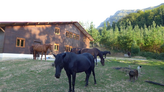 Udalekuak antolatu dituzte aurten Pottokalekun ere