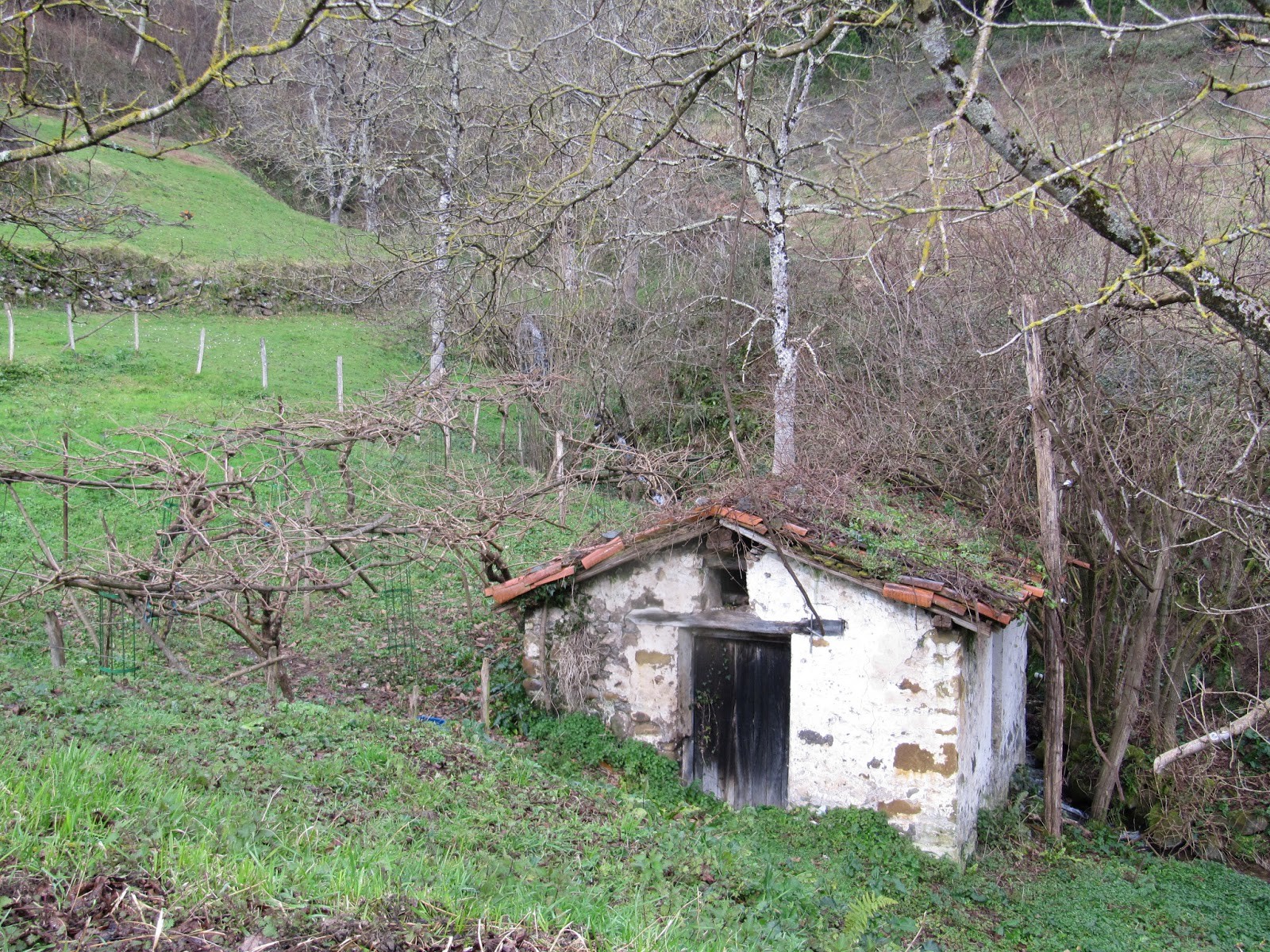 Basalde auzoko errota eta indarretxea ezagutzeko aukera