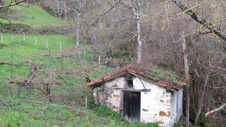 Basalde auzoko errota eta indarretxea ezagutzeko aukera