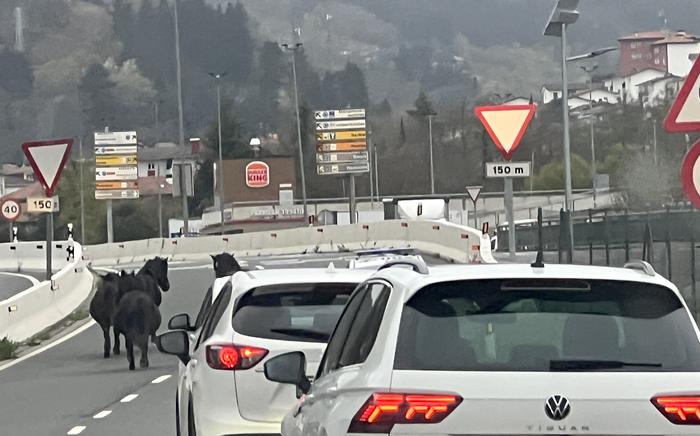 Auto-ilara txiki bat Arrasaterako sarbidean, hiru moxalek eraginda