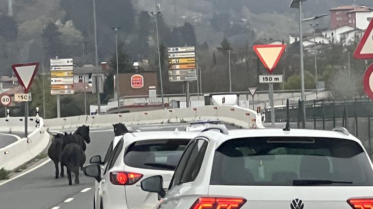 Auto-ilara txiki bat Arrasaterako sarbidean, hiru moxalek eraginda