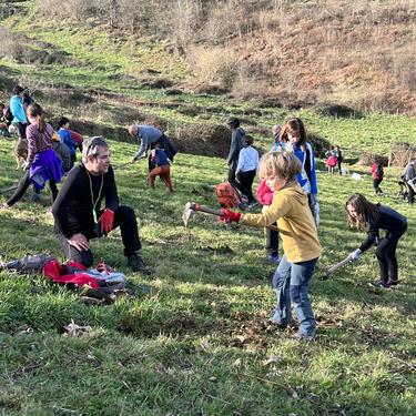 Bertako zuhaitzen landaketa