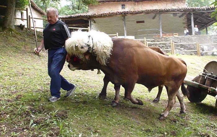 San Martzial erromeria - 7