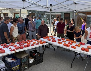 'Arratiako zekorra' izan da IV. Tomate Lehiaketako irabazlea