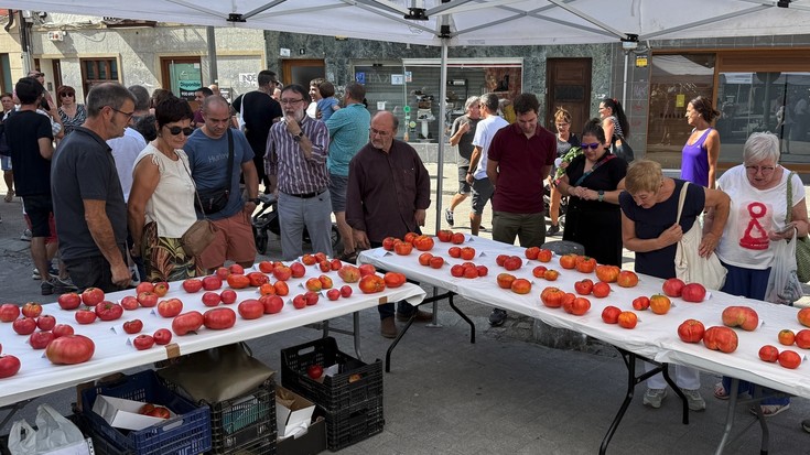 'Arratiako zekorra' izan da IV. Tomate Lehiaketako irabazlea