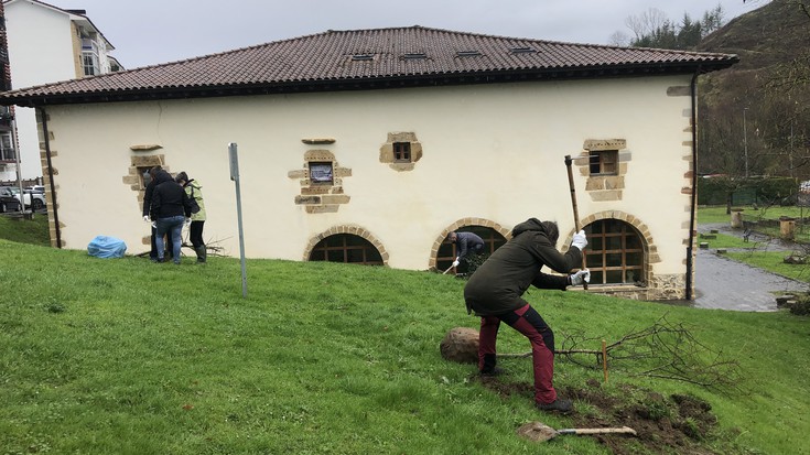 2021ean jaiotako hogeita bat haurrengatik zuhaitz landaketa