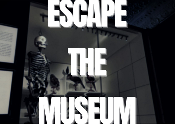 'Escape the museum'