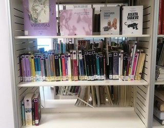 Udal liburutegia ohiko martxara itzuliko da astelehenetik aurrera