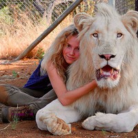 'Mia y el leon blanco' filma