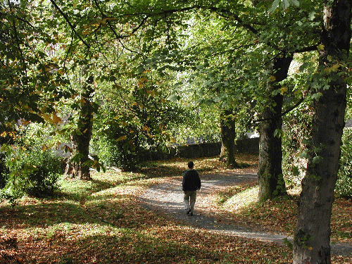 Bisita gidatua: Bergararako lorategi historikoak