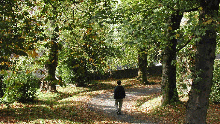 Bisita gidatua: Bergararako lorategi historikoak