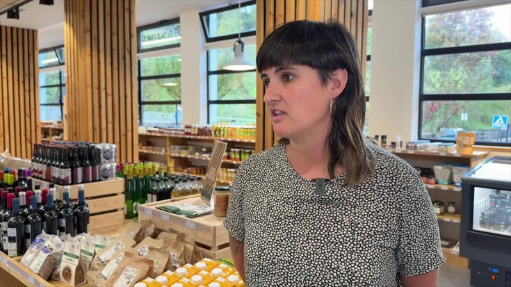 Elikaenearen urtebeteko ibilbidea, lau ahotsetara