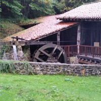 GATZ EGUNA 2025. Gatz Museora bisita gidatua euskaraz
