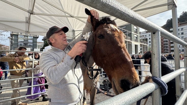 Juan Ignacio Regorigo perratzailearen erakustaldia