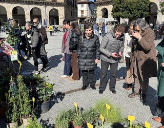 Eguraldi onarekin batera heldu da Zuhaitz Azoka Oñatira