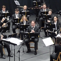 Musika bandaren kontzertua