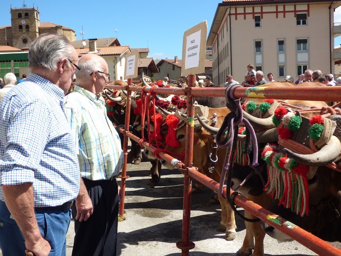 24 idi-pare egongo dira aurtengo Ferixa Nagusian