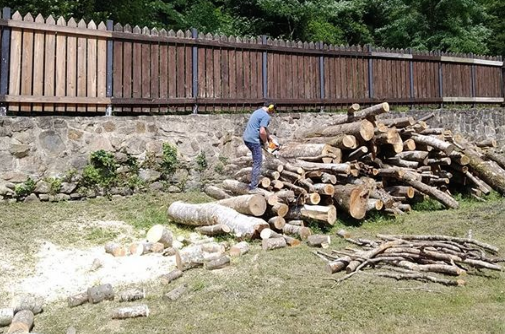Udal lurretan egurtegiak erabiltzeko deialdiaren amaiera