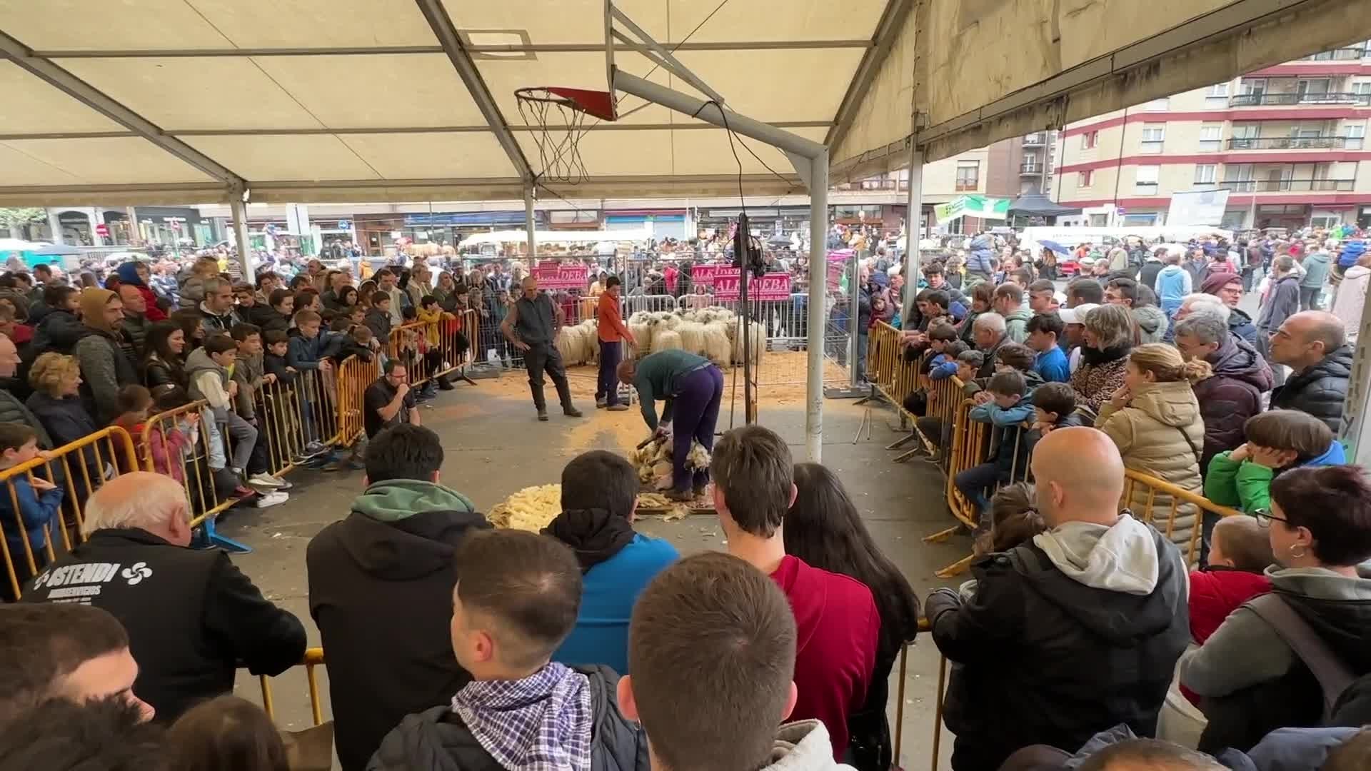 Osagai guztiak batuta eta bergararrek "ondo" erantzunda
