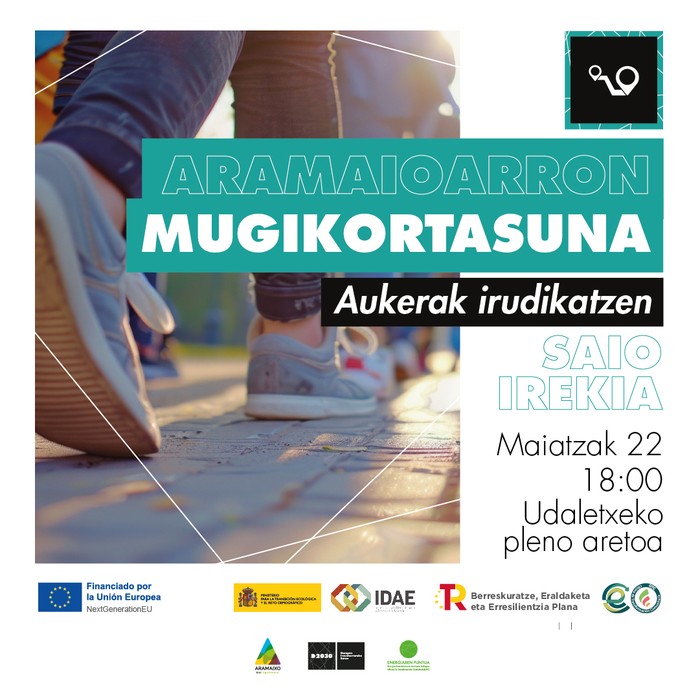 'Aramaioarron mugikortasuna; Aukerak irudikatzen' bilera-irekia