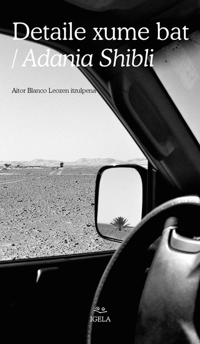 Literatura solasaldia: 'Detaile xume bat'