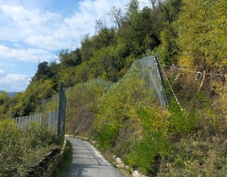 Boluko maldan desbrozatze eta zuhaitz mozketa lanak hasiko dituzte bihar