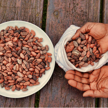 'Txokolatearen bidaia' bisita