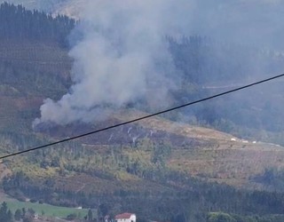 Bi hektarea erre dira Bergarako San Juan auzoko sutean