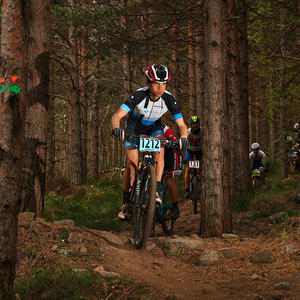 Erabiltzailearen aurpegia