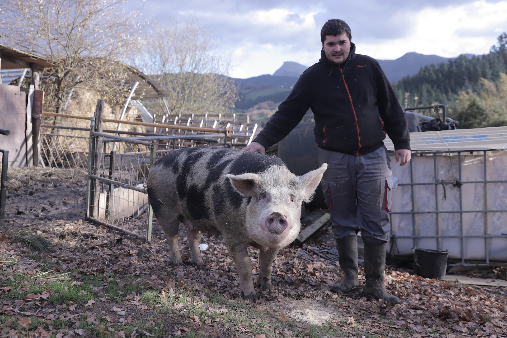 260 kilo inguru ditu 'Xanti Smith' aurtengo txerriak