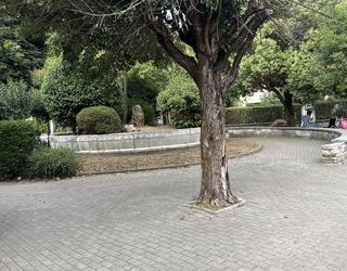 Urte bukaeran hasi gura dituzte Andramari auzuneko lanak eta Ilargi parkearenak