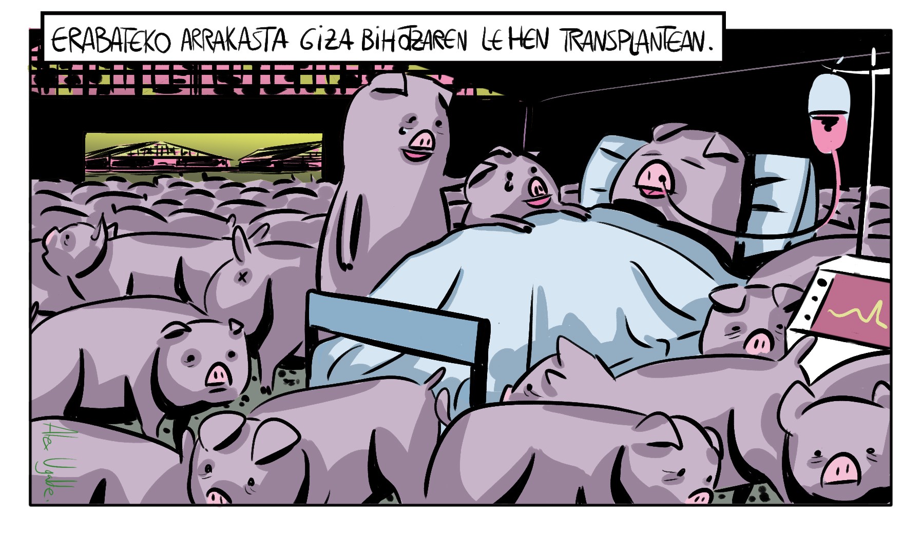Makro