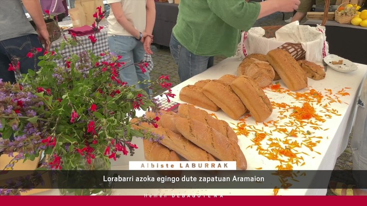 'Hemen Debagoiena' saioa osorik: 2025-05-08