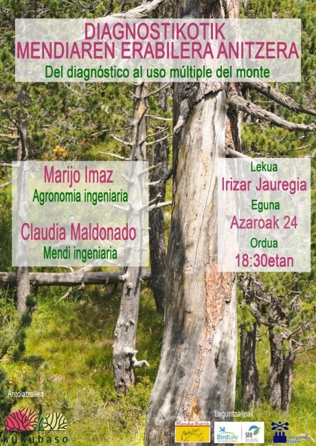 'Diagnostikotik mendiaren erabilera anitzera' hitzaldia