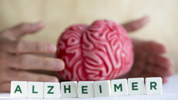 Alzheimerrarekin bizitzeko gakoak emango dituzte