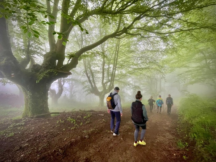 Mendi irteera gidatua: hartzaren urratsa
