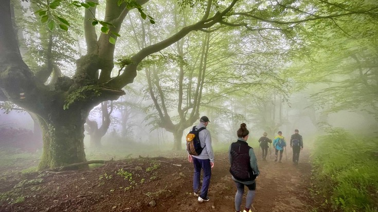 Mendi irteera gidatua: hartzaren urratsa